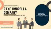 What is a PAYE Umbrella Company?